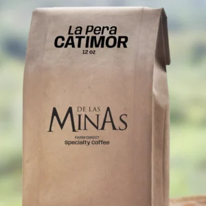 La Pera Catimor - grano